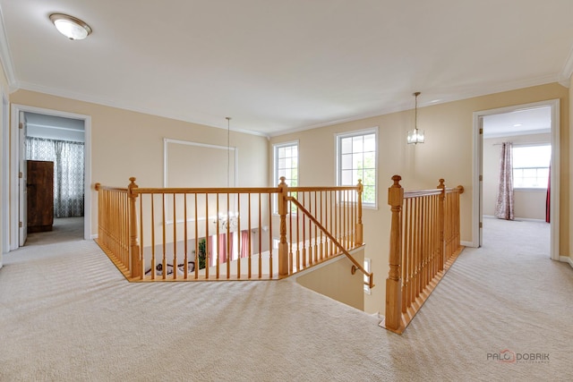 337A Veronica Cir, Bartlett, IL 60103 - hall with carpet, an upstairs landing, and crown molding