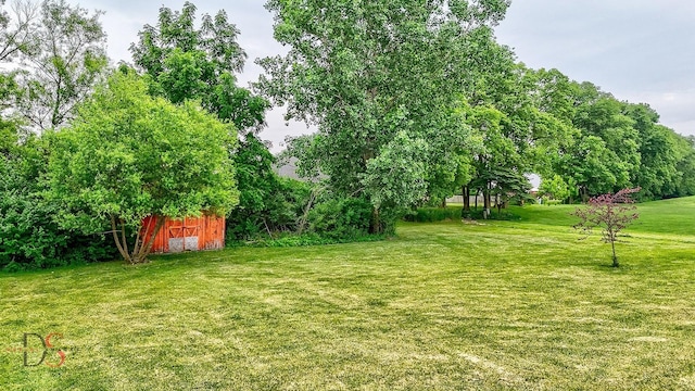 1661 Locust Rd, Morris, IL 60450 - view of grassy yard with an outdoor structure