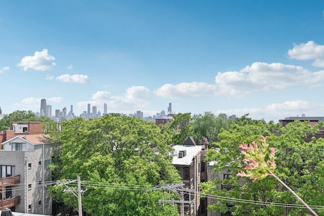 949 W Montana St Unit 3W, Chicago, IL 60614 - skyline view