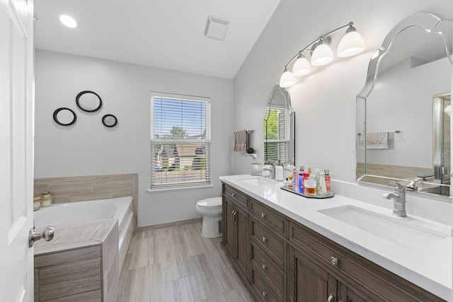 2503 Red Hawk Ridge Ct, Aurora, IL 60503 - full bath featuring double vanity, a garden tub, and vaulted ceiling