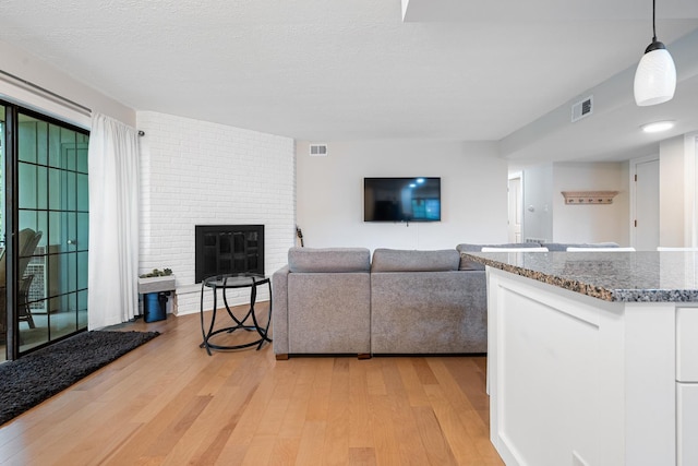 9197 N Rd Unit C, Palos Hills, IL 60465 - living room featuring light wood-type flooring and a fireplace