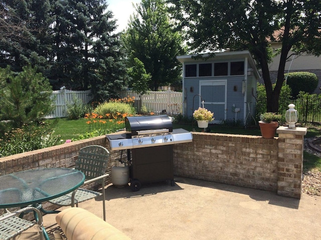 8025 Shoshone Trl, Tinley Park, IL 60477 - view of patio / terrace featuring an outdoor structure and area for grilling