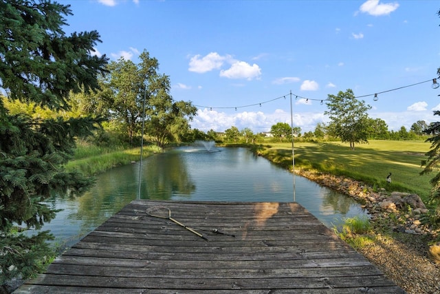 1002 S Schoolhouse Rd, New Lenox, IL 60451 - photo 11