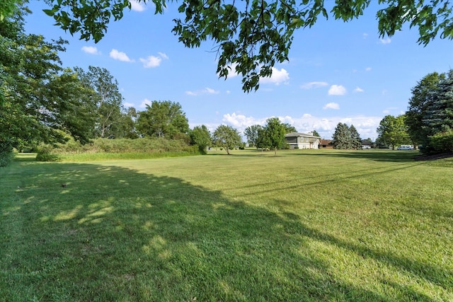 1002 S Schoolhouse Rd, New Lenox, IL 60451 - photo 55