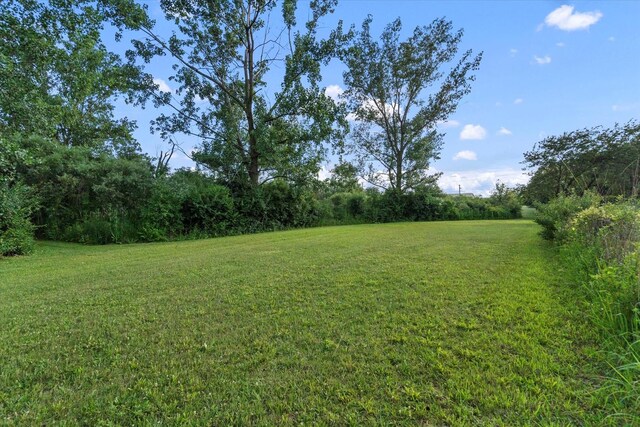 1002 S Schoolhouse Rd, New Lenox, IL 60451 - photo 56