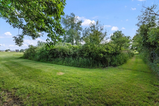1002 S Schoolhouse Rd, New Lenox, IL 60451 - photo 57
