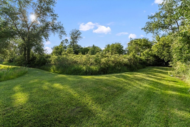 1002 S Schoolhouse Rd, New Lenox, IL 60451 - photo 59