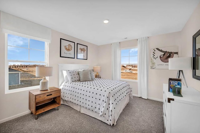 311 Snowdrop Ln, Elgin, IL 60124 - bedroom with carpet and recessed lighting