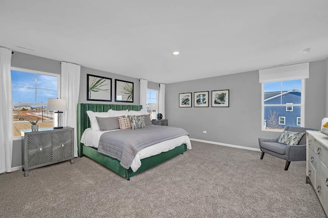 311 Snowdrop Ln, Elgin, IL 60124 - carpeted bedroom featuring baseboards