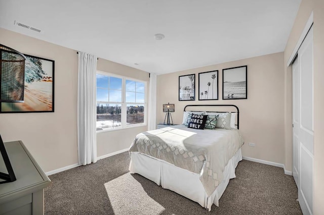 311 Snowdrop Ln, Elgin, IL 60124 - bedroom featuring carpet floors and a closet