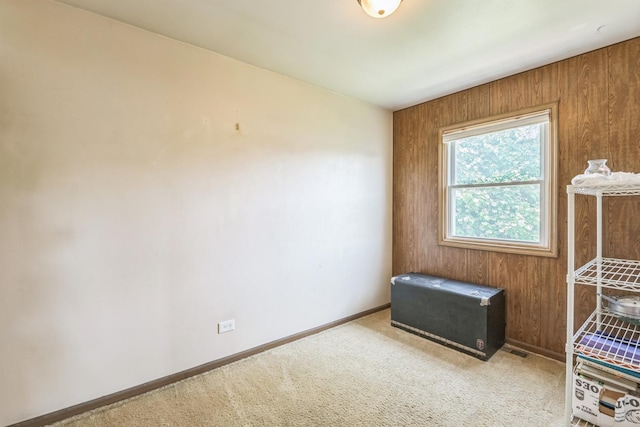 1313 Glen Hill Dr, Glendale Heights, IL 60139 - spare room with carpet