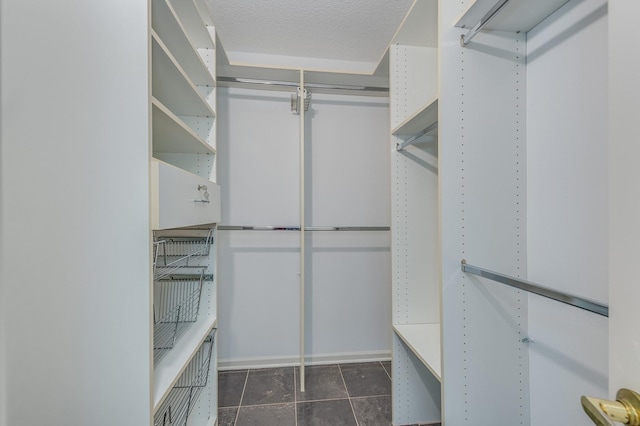 511 Aurora Ave Unit 410, Naperville, IL 60540 - walk in closet with dark tile patterned flooring