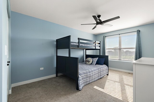 24201 S William Dr, Manhattan, IL 60442 - photo 31