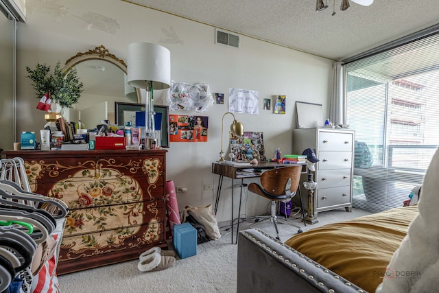 9655 Woods Dr Unit 1009, Skokie, IL 60077 - carpeted bedroom featuring a textured ceiling