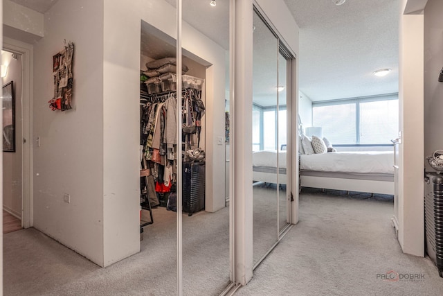 9655 Woods Dr Unit 1009, Skokie, IL 60077 - hall featuring carpet