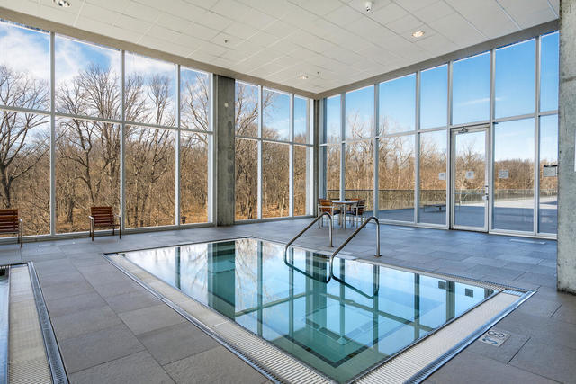 9655 Woods Dr Unit 1009, Skokie, IL 60077 - view of indoor community pool