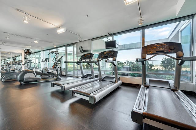 9655 Woods Dr Unit 1009, Skokie, IL 60077 - view of workout area