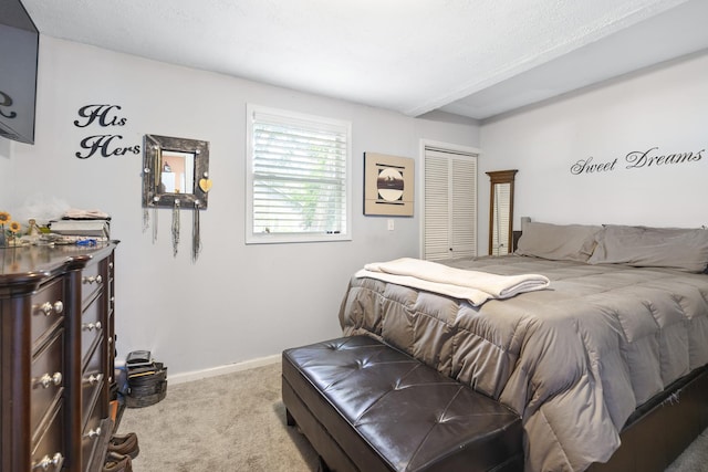 2602 Michael St, Wonder Lake, IL 60097 - bedroom with carpet floors and a closet