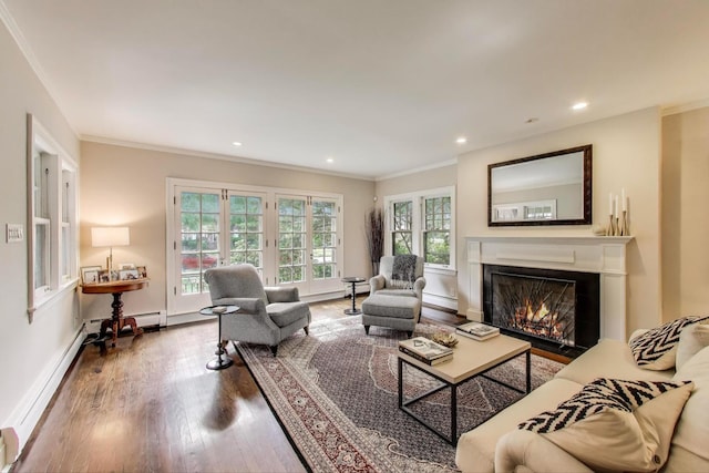 934 Jackson Ave, River Forest, IL 60305 - living area with baseboard heating, plenty of natural light, a lit fireplace, crown molding, and wood finished floors