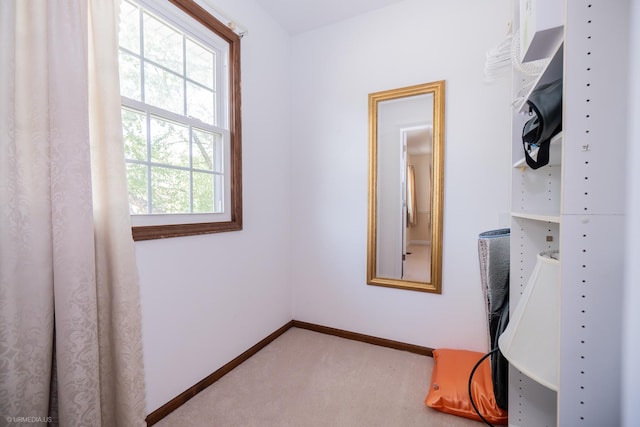 5806 Prairie Ln, Palatine, IL 60067 - photo 29