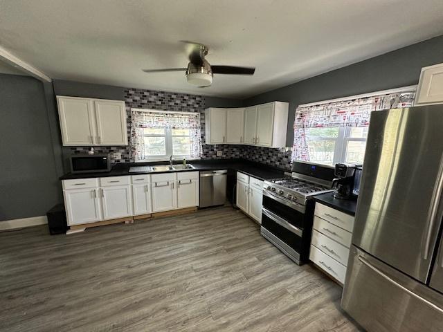 420 Wabash St, Wilmington, IL 60481 - kitchen with appliances with stainless steel finishes, plenty of natural light, dark countertops, and ceiling fan
