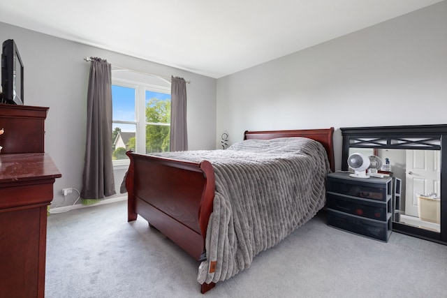 509 Magnolia Dr, North Aurora, IL 60542 - bedroom with carpet and baseboards