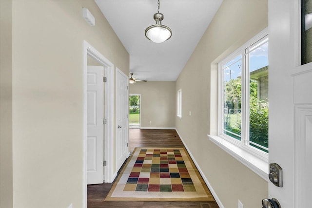 5 Montclair Rd Unit A, Urbana, IL 61801 - hall with dark wood-style flooring
