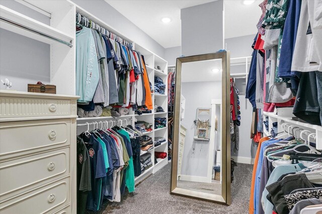 619 County Road 2550 N, Dewey, IL 61840 - walk in closet with carpet flooring