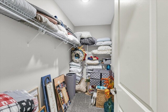 619 County Road 2550 N, Dewey, IL 61840 - spacious closet with carpet