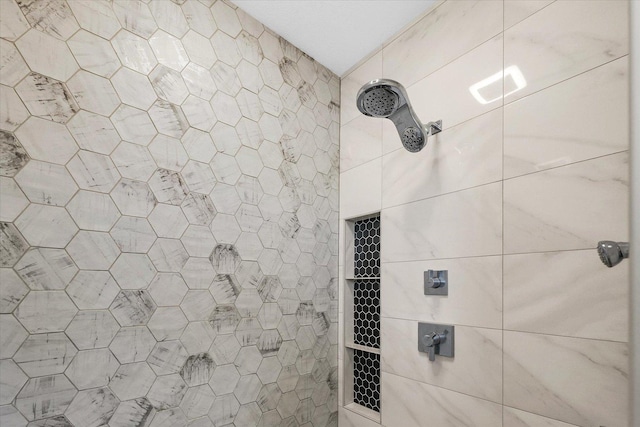 619 County Road 2550 N, Dewey, IL 61840 - full bath with a tile shower