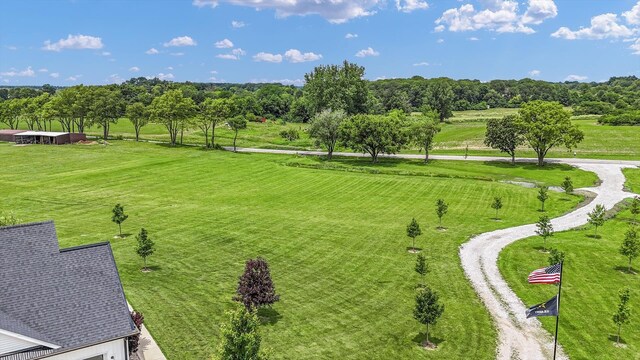 619 County Road 2550 N, Dewey, IL 61840 - view of property's community with view of wooded area