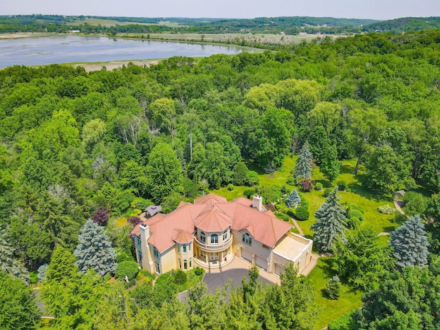 W3318 Lake Forest Ln, Lake Geneva, WI 53147 - aerial view of property and surrounding area featuring a large body of water and a forest