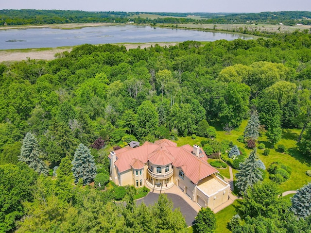 W3318 Lake Forest Ln, Lake Geneva, WI 53147 - view from above of property featuring a large body of water and a forest