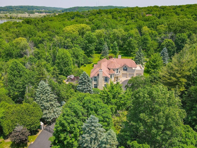 W3318 Lake Forest Ln, Lake Geneva, WI 53147 - aerial view of property and surrounding area featuring a forest