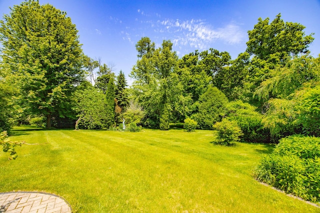 W3318 Lake Forest Ln, Lake Geneva, WI 53147 - view of grassy yard