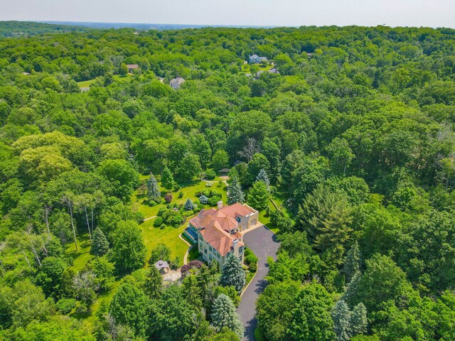 W3318 Lake Forest Ln, Lake Geneva, WI 53147 - bird's eye view of a forest