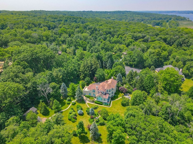W3318 Lake Forest Ln, Lake Geneva, WI 53147 - view of subject property with a forest