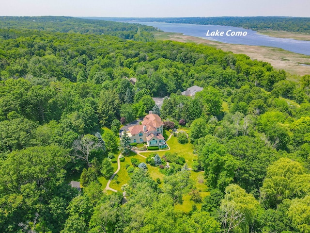 W3318 Lake Forest Ln, Lake Geneva, WI 53147 - drone / aerial view of a heavily wooded area