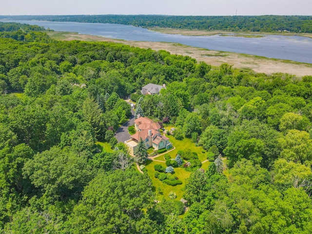 W3318 Lake Forest Ln, Lake Geneva, WI 53147 - aerial view of a forest and a large body of water