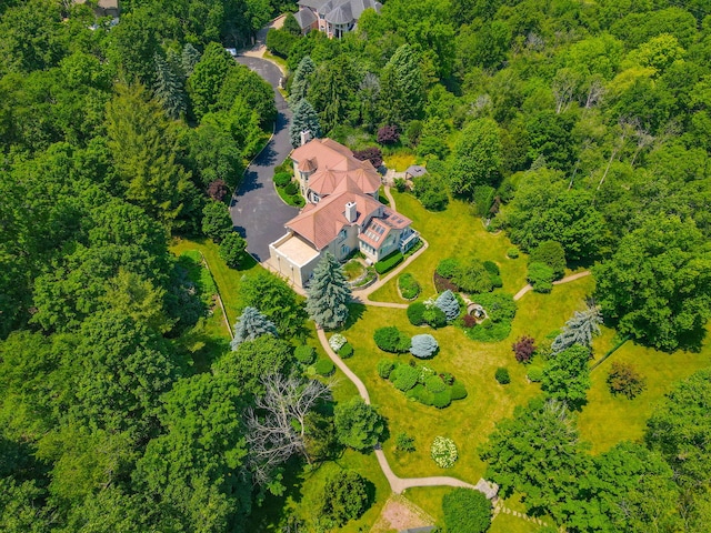 W3318 Lake Forest Ln, Lake Geneva, WI 53147 - drone / aerial view