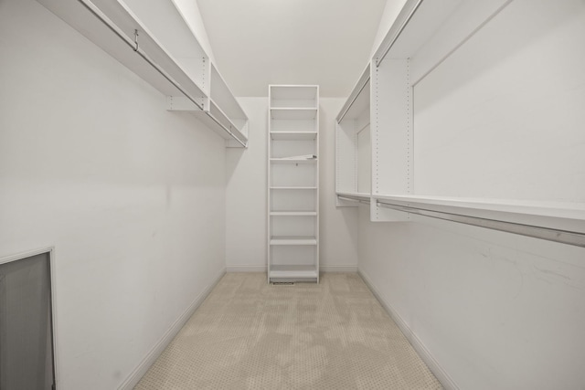 W3318 Lake Forest Ln, Lake Geneva, WI 53147 - walk in closet with light colored carpet