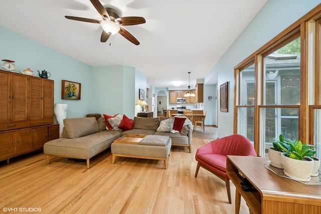 462 Kelly Ln, Crystal Lake, IL 60012 - living room with light wood-type flooring and a ceiling fan