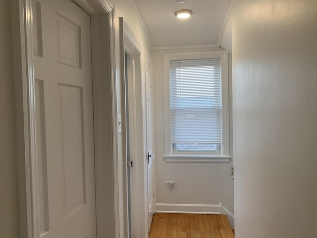 4520 N Austin Ave, Chicago, IL 60630 - hallway with light wood-type flooring and crown molding