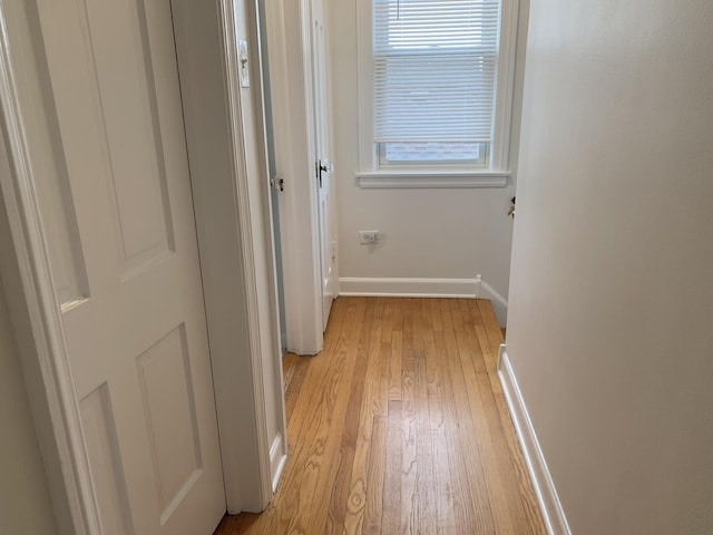 4520 N Austin Ave, Chicago, IL 60630 - corridor with light wood-style flooring and baseboards