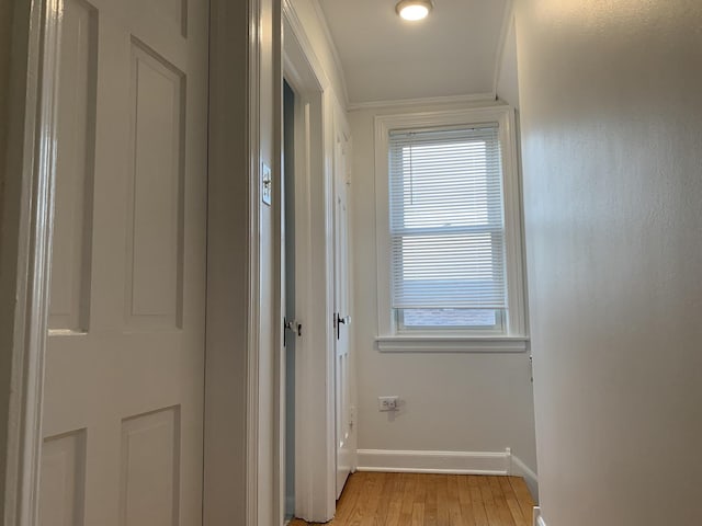 4520 N Austin Ave, Chicago, IL 60630 - corridor featuring light wood-style flooring and ornamental molding