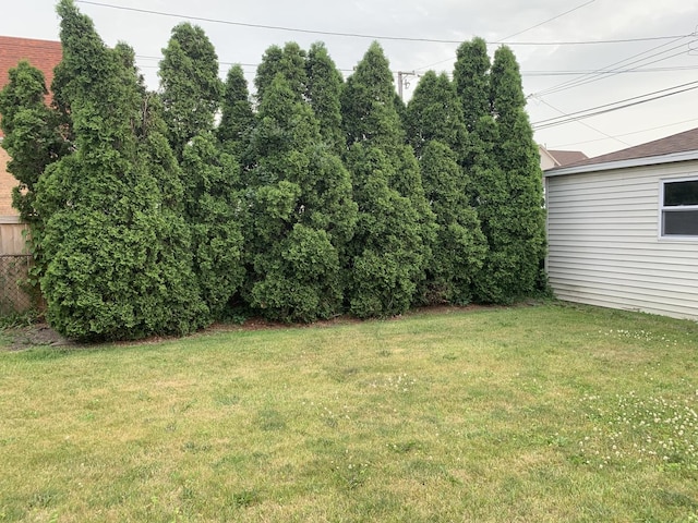 4520 N Austin Ave, Chicago, IL 60630 - view of grassy yard