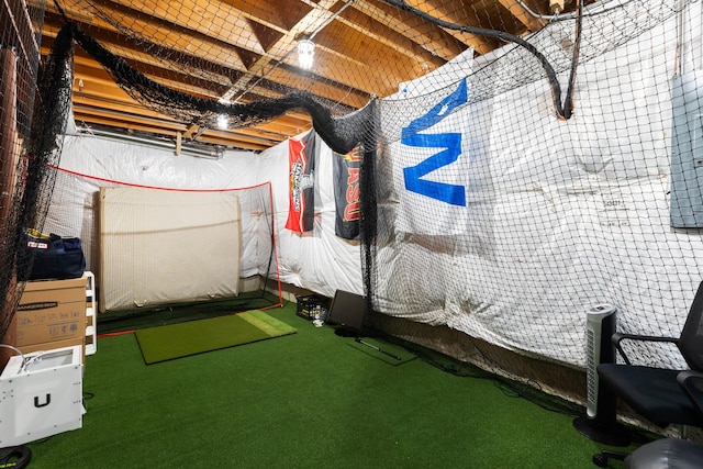 33 N Fremont St, Naperville, IL 60540 - below grade area with carpet flooring and golf simulator