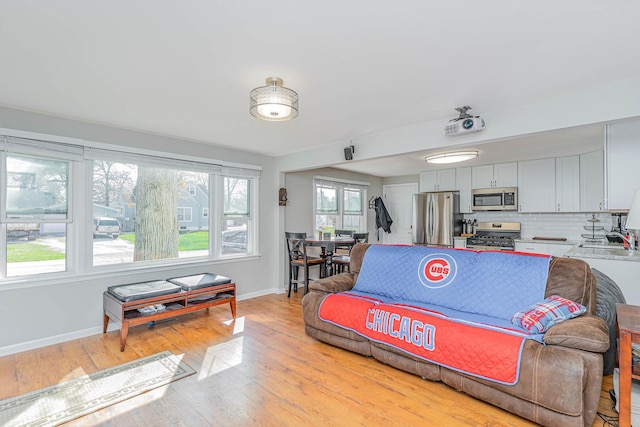 324 N Prospect Dr, Round Lake Park, IL 60073 - living area with light wood-style flooring