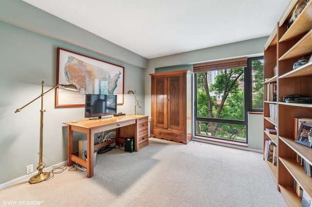 1169 S Plymouth Ct Unit 312, Chicago, IL 60605 - carpeted office space featuring baseboards