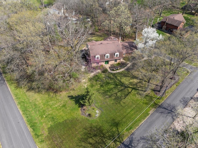 125 Grove Ln, Barrington, IL 60010 - view from above of property